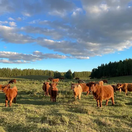 Bauernhof Highland Warmia -