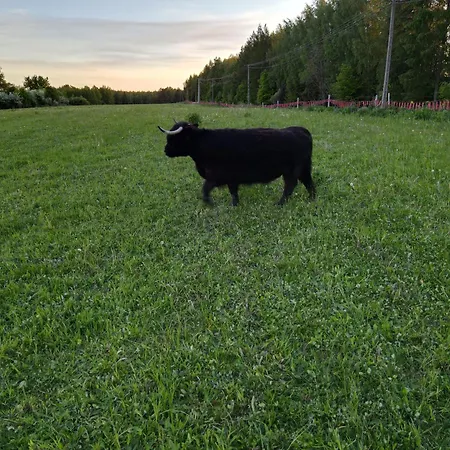 Highland Warmia - Bauernhof Jeziorany