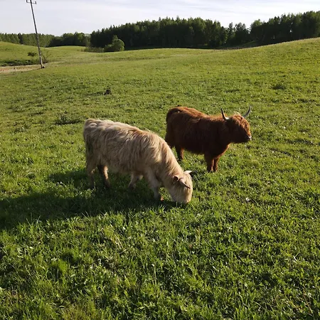 Highland Warmia - * Jeziorany